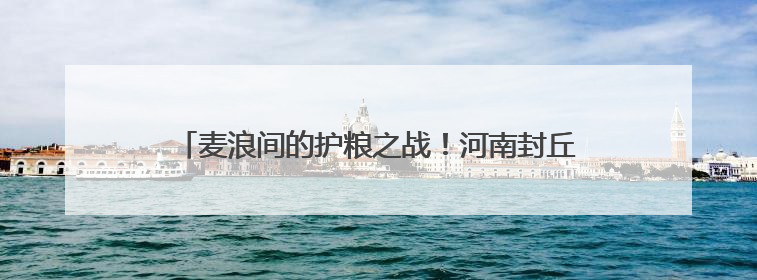 麦浪间的护粮之战！河南封丘上演农机手减损技能巅峰对决