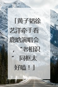 黄子韬徐艺洋牵手看鹿晗演唱会，“老相识” 同框太好嗑！
