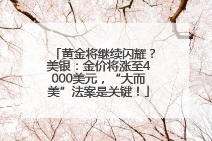 黄金将继续闪耀？美银：金价将涨至4000美元，“大而美”法案是关键！