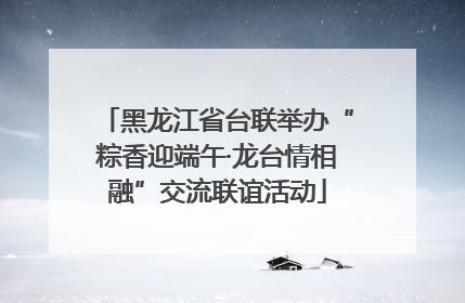 黑龙江省台联举办“粽香迎端午·龙台情相融”交流联谊活动