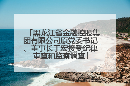 黑龙江省金融控股集团有限公司原党委书记、董事长于宏接受纪律审查和监察调查