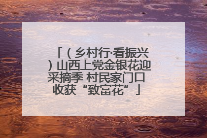 （乡村行·看振兴）山西上党金银花迎采摘季 村民家门口收获“致富花”