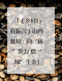 （乡村行·看振兴）山西襄垣：向“林”发力 借“绿”生金
