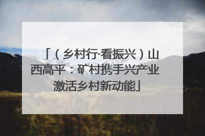 （乡村行·看振兴）山西高平：矿村携手兴产业 激活乡村新动能