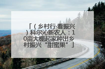 （乡村行·看振兴）科尔沁新农人：10亩大棚起家种出乡村振兴“甜蜜果”