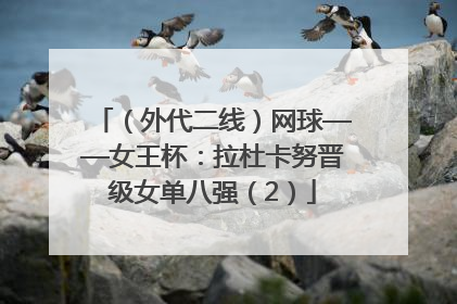 （外代二线）网球——女王杯：拉杜卡努晋级女单八强（2）