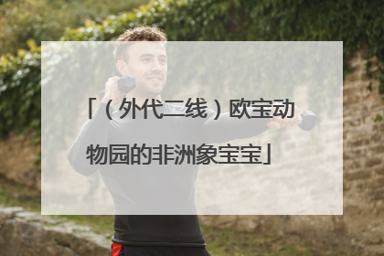 （外代二线）欧宝动物园的非洲象宝宝