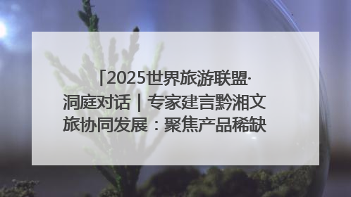 2025世界旅游联盟·洞庭对话｜专家建言黔湘文旅协同发展：聚焦产品稀缺性 深化区域经验共享
