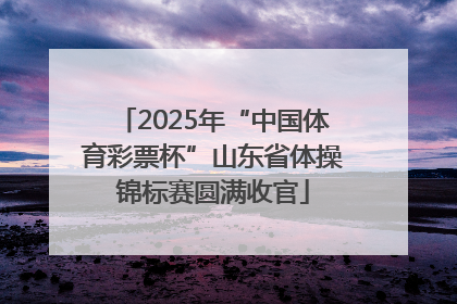 2025年“中国体育彩票杯”山东省体操锦标赛圆满收官