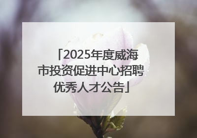2025年度威海市投资促进中心招聘优秀人才公告