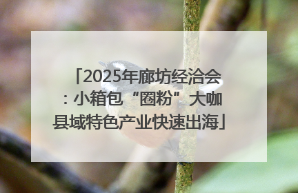 2025年廊坊经洽会：小箱包“圈粉”大咖 县域特色产业快速出海
