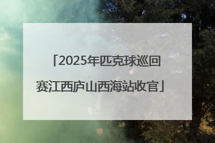 2025年匹克球巡回赛江西庐山西海站收官