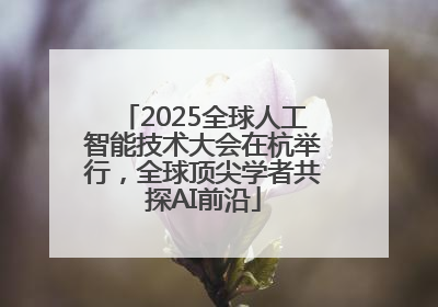 2025全球人工智能技术大会在杭举行，全球顶尖学者共探AI前沿