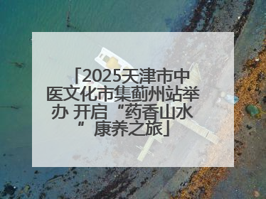 2025天津市中医文化市集蓟州站举办 开启“药香山水”康养之旅