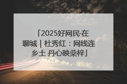 2025好网民·在聊城｜杜秀红：网线连乡土 丹心映桑梓