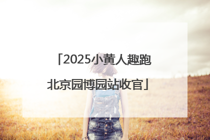 2025小黄人趣跑北京园博园站收官