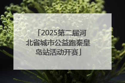2025第二届河北省城市公益跑秦皇岛站活动开赛