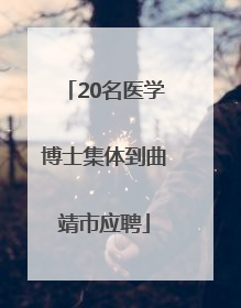 20名医学博士集体到曲靖市应聘