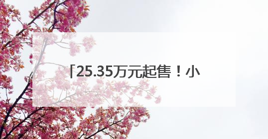 25.35万元起售！小米YU7比Model Y便宜1万元 雷军：我们制定了“离谱”的目标