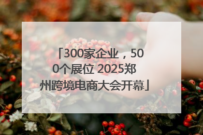 300家企业，500个展位 2025郑州跨境电商大会开幕