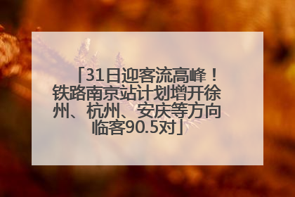 31日迎客流高峰！铁路南京站计划增开徐州、杭州、安庆等方向临客90.5对