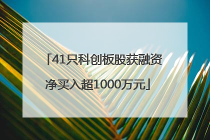 41只科创板股获融资净买入超1000万元