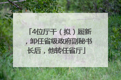 4位厅干（拟）履新，卸任省级政府副秘书长后，他转任省厅