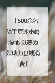 500余名骑手竞速秦岭腹地 以赛为媒助力县域消费