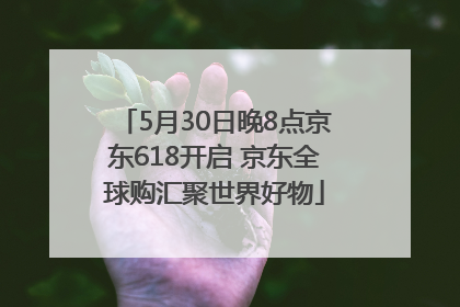 5月30日晚8点京东618开启 京东全球购汇聚世界好物