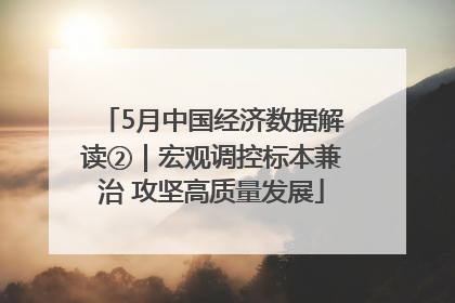 5月中国经济数据解读②｜宏观调控标本兼治 攻坚高质量发展