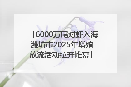 6000万尾对虾入海 潍坊市2025年增殖放流活动拉开帷幕