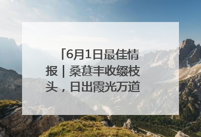 6月1日最佳情报｜桑葚丰收缀枝头，日出霞光万道蓬勃壮观！恭喜