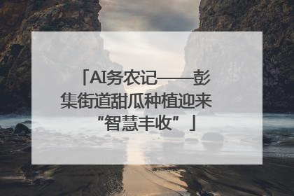 AI务农记——彭集街道甜瓜种植迎来“智慧丰收”