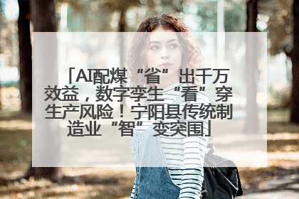 AI配煤“省”出千万效益，数字孪生“看”穿生产风险！宁阳县传统制造业“智”变突围