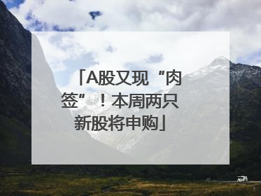 A股又现“肉签”！本周两只新股将申购