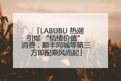 LABUBU 热潮引爆 “情绪价值” 消费，顺丰同城等第三方即配乘风而起