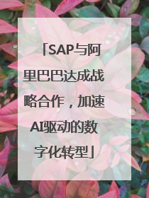 SAP与阿里巴巴达成战略合作，加速AI驱动的数字化转型