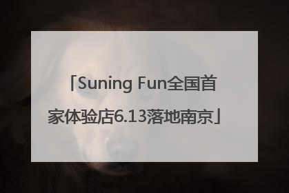 Suning Fun全国首家体验店6.13落地南京